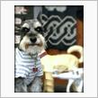 花子とPhantom3と散歩で・・Follow Me・・・♪