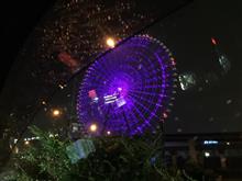 Redhorse OSAKA WHEEL