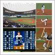 野球観戦（埼玉西武VSオリックス）