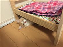 梅雨終わりかけの梅雨対策 梅雨終わりかけの梅雨対策