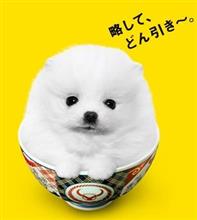 確かに「どん退き」・・・(^-^;)