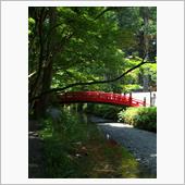 遠州花巡り