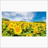 7月の3連休は恒例？Part ...