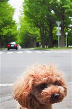ヘッヘ　へっへ　(◎_◎;)