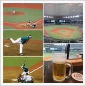 野球観戦（埼玉西武VS千葉ロ ...