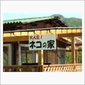 大人気ネコの家！
