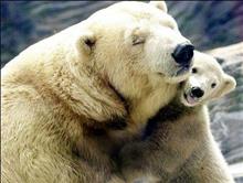親の愛と子の生き方… 親の愛と子の生き方…