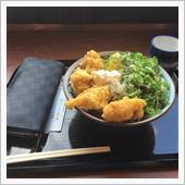 昼間は暑すぎです。