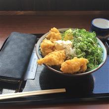 昼間は暑すぎです。