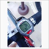 自転車のスピードじゃないよね ...