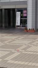 「中国地方ハムの集い2016」 「中国地方ハムの集い2016」