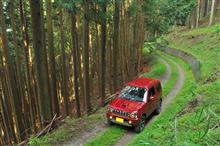 林道麦山線、坊主線 林道麦山線、坊主線