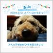 祝・みんカラ歴4年！