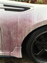 BRZの頑固なボディの汚れに立ち向かうww BRZの頑固なボディの汚れに立ち向かうww