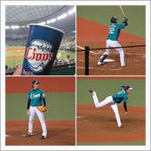 野球観戦（埼玉西武VS北海道 ...