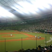 野球観戦（埼玉西武VS北海道日本ハム）