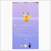 流行りなので