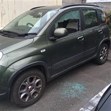 皆さんご無沙汰です