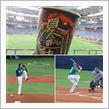 野球観戦（オリックスVS埼玉西武）