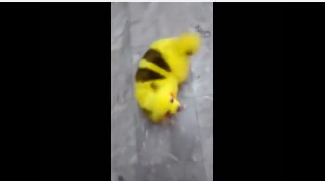 虐待 自分の犬を ピカチュウ に塗った飼い主に批判殺到 きゃのん 08のブログ きゃのん 08公式ブログ ゚ ゚ みんカラ 虐待 自分の犬を ピカチュウ に塗った飼い主に批判殺到 きゃのん 08のブログ きゃのん 08公式ブログ ゚ ゚ みんカラ