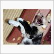 明日はQKﾐｰﾃｨﾝｸﾞ(#^.^#)