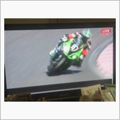 ８耐観戦中