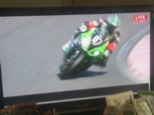 ８耐観戦中
