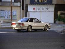 本日のネオノス