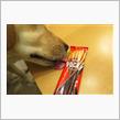 ≪ショートブログ≫ ポッキー・・・☆