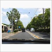 久しぶりのお出かけ