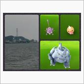 ポケモン探しに海へ都会へ