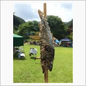 夏の川遊び2016