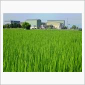 愛知県大会