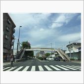 リアガラス…剥がして…剥がし ...