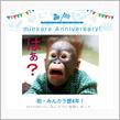 祝・みんカラ歴4年！