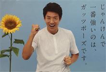 ヒマワリの花言葉は「情熱」