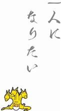 今日は…