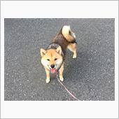 山の日