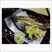 OBOG会