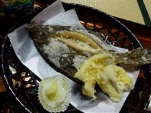 OBOG会