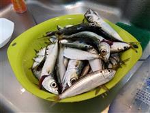 釣りに行ってきました！！