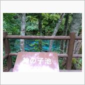 神の子池
