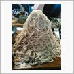 お蕎麦食べたくなったので行ってみた