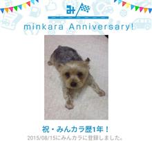 祝・みんカラ歴1年！