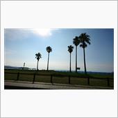 海水浴＆天然温泉