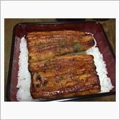 鰻