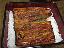 鰻
