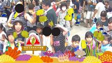 お盆休みで、素敵な出来事が2日続けて・・・ お盆休みで、素敵な出来事が2日続けて・・・