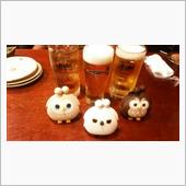 ふじフクロウの会