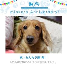 祝・みんカラ歴1年！